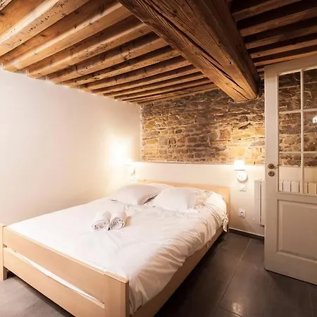 La Grotte De La Baleine Du Vieux Ail Appartement Lyon