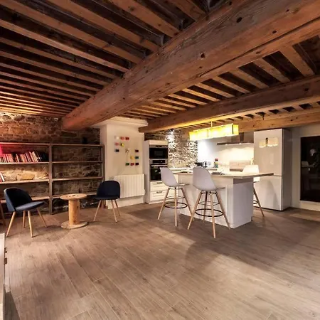 Appartement La Grotte De La Baleine Du Vieux Ail Lyon