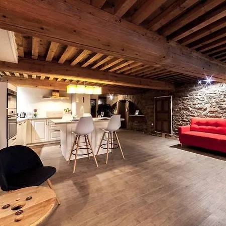 Appartamento Allinlyon | Grotte De La Baleine Vieux Lione